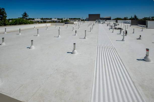 Professional Roofing Services in Mccaysville, GA